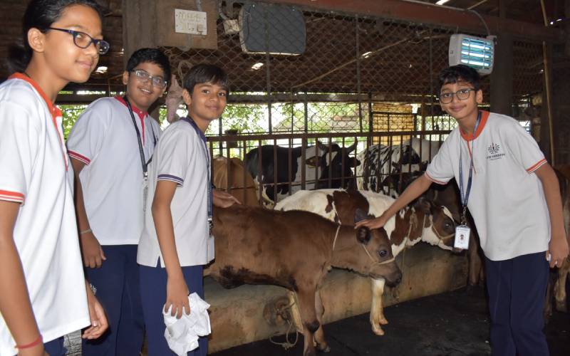 isckon-visit-nhps-05